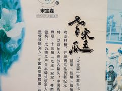 -西瓜小镇