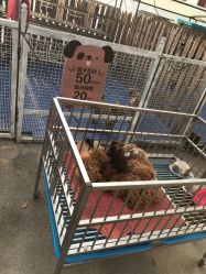 -萌宠亲子动物乐园(槐房万达店)