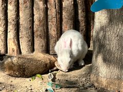 -水上乐园·欢乐世界