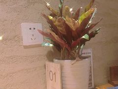 -印象江南(东栅店)