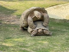 -珠海长隆海洋王国