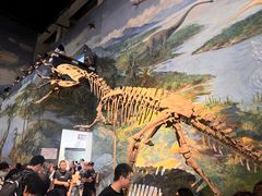 -自贡恐龙博物馆