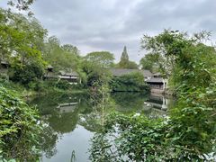 -西溪国家湿地公园