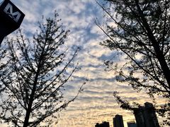 -马鹦路(地铁站)