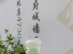-紫阳古街