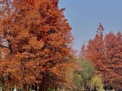 -鄞州公园南门停车场