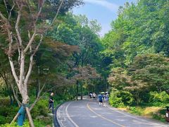 -岳麓山风景名胜区