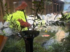 -鲤院·新中式美学·庭院餐厅(夫子庙店)
