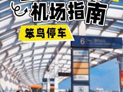 -合肥新桥国际机场-航站楼