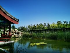 -西海子公园