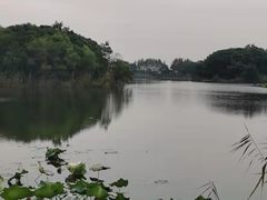 -上海市保健医疗中心