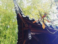-三苏祠