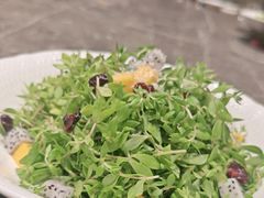 -同庆楼(滨湖万达广场店)