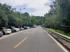 -铁山坪森林公园