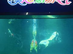 -福州罗源湾海洋世界旅游区