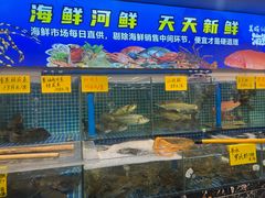 -渔意楼·驰名沙田乳鸽(五羊店)