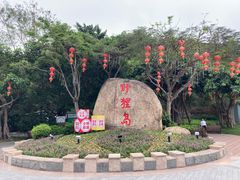 -野狸岛