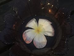 -Rimpa Lapin悬崖餐厅