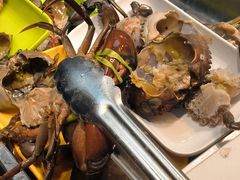 -养牛邓·潮汕牛肉海鲜自助火锅(广州店)