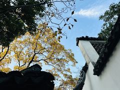 -上海醉白池公园