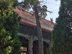 -孔府