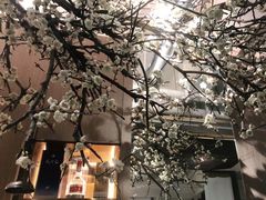 -梅花境(万科店)