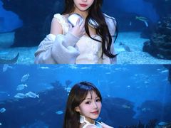 -海合安成都极地海洋公园