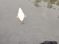 -杭州师范大学(下沙校区)