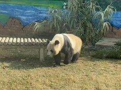 -苏州太湖国家湿地公园