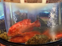 -陶陶居海鲜酒家(新马路店)