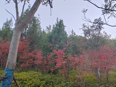 -南京市江宁方山