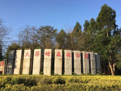 -大屏嶂森林公园