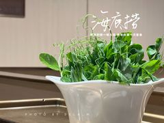 一口脆嫩豌豆尖-海底捞火锅(凯德广场店)