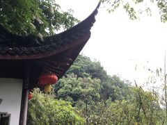 -十八棵（老龙井）御茶园(老龙井店)