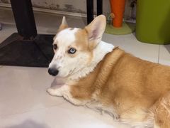 -平行世界·猫咖(首经贸店)