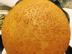 金甲大麻球-海景壹号大酒店(滨湖店)