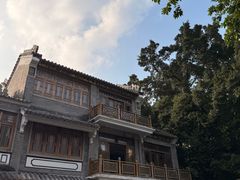 -荔湾湖公园
