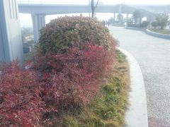 -汉江公园