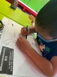 -恐龙探索乐园(磁器口店)