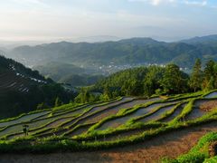 -紫鹊界梯田景区