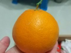 -小阿姨(浙北商业广场店)