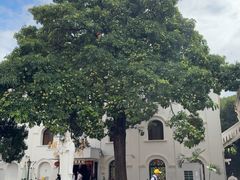 -厦门市鼓浪屿风景名胜区-天主教堂