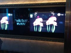 -温莎KTV(珠江路店)