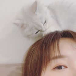 -月野兔日式美睫美甲