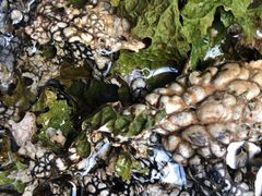 -海韵人家.海景花园经典云南菜(双廊店)