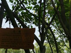 -东方假日田园-停车场