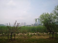 -月湖风景区