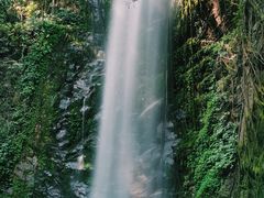 -莫里热带雨林景区