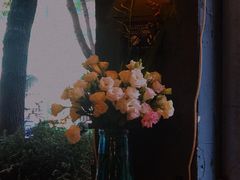 -萨尔瓦多Salvador's
