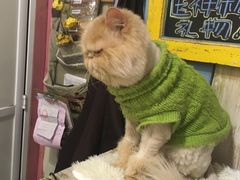 -小时光咖啡馆(开森度假森林店)